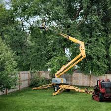 Best Commercial Tree Services  in Kilgore, TX